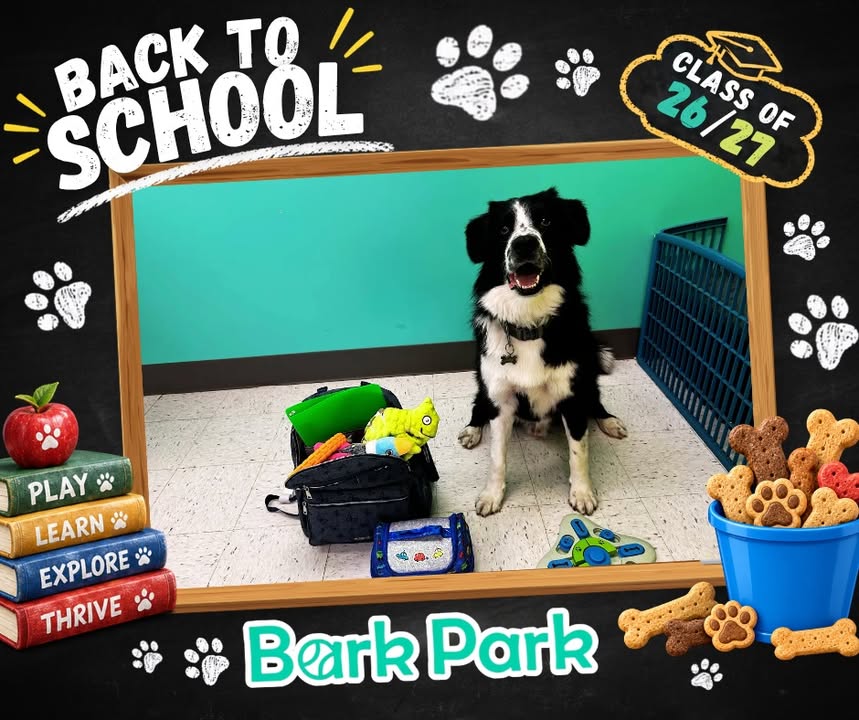 Bark Park - Red Deer Riverside