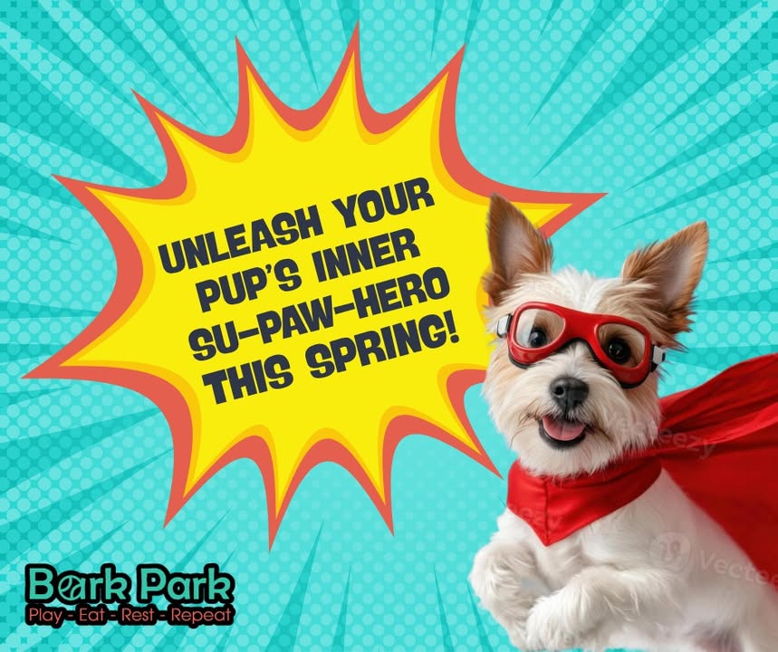 Bark Park - Red Deer Riverside