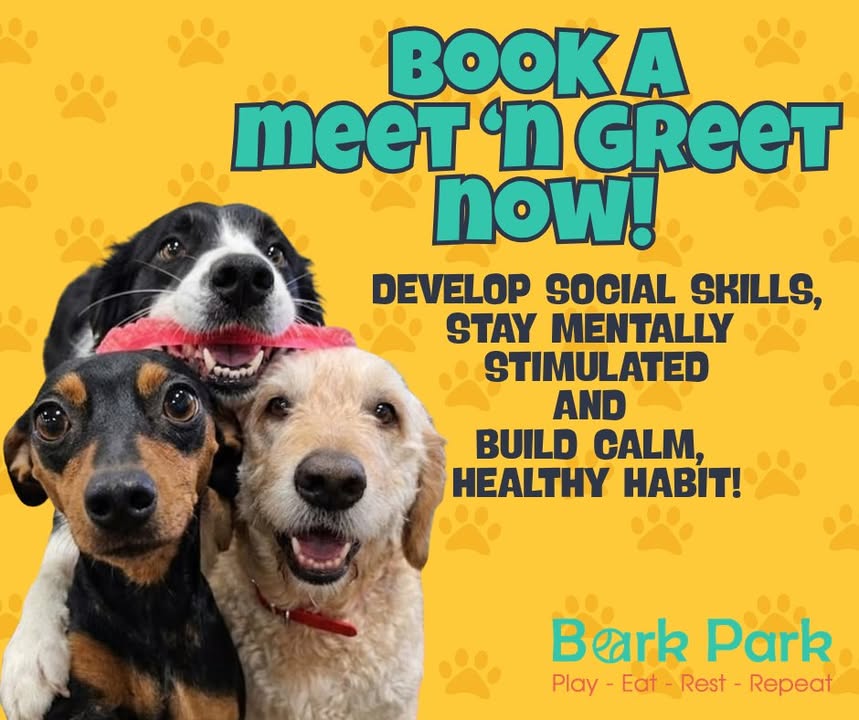 Bark Park - Red Deer Riverside