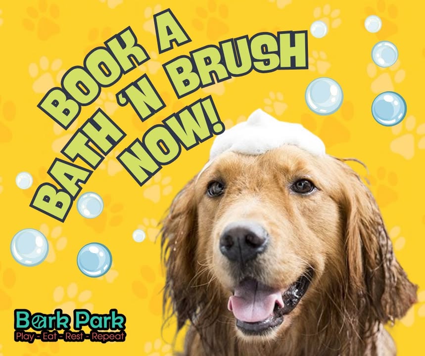 Bark Park - Red Deer Riverside
