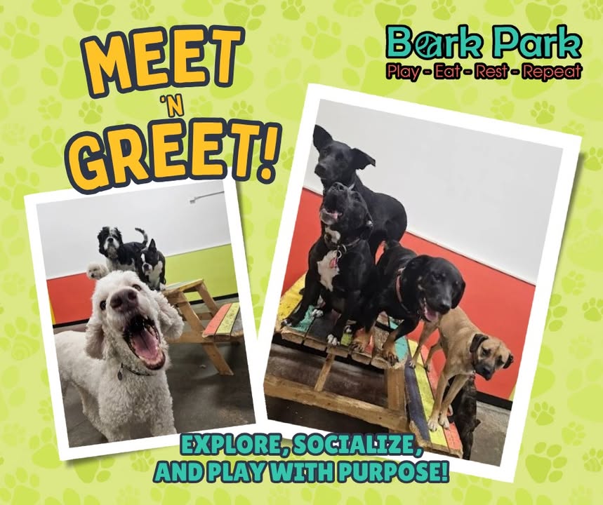 Bark Park - Red Deer Riverside