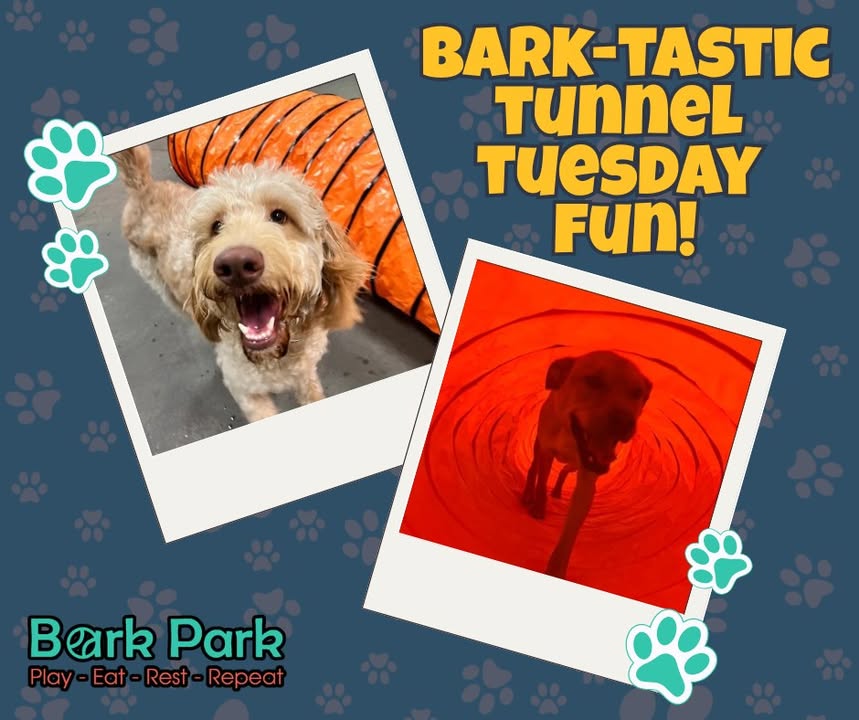 Bark Park - Red Deer Riverside