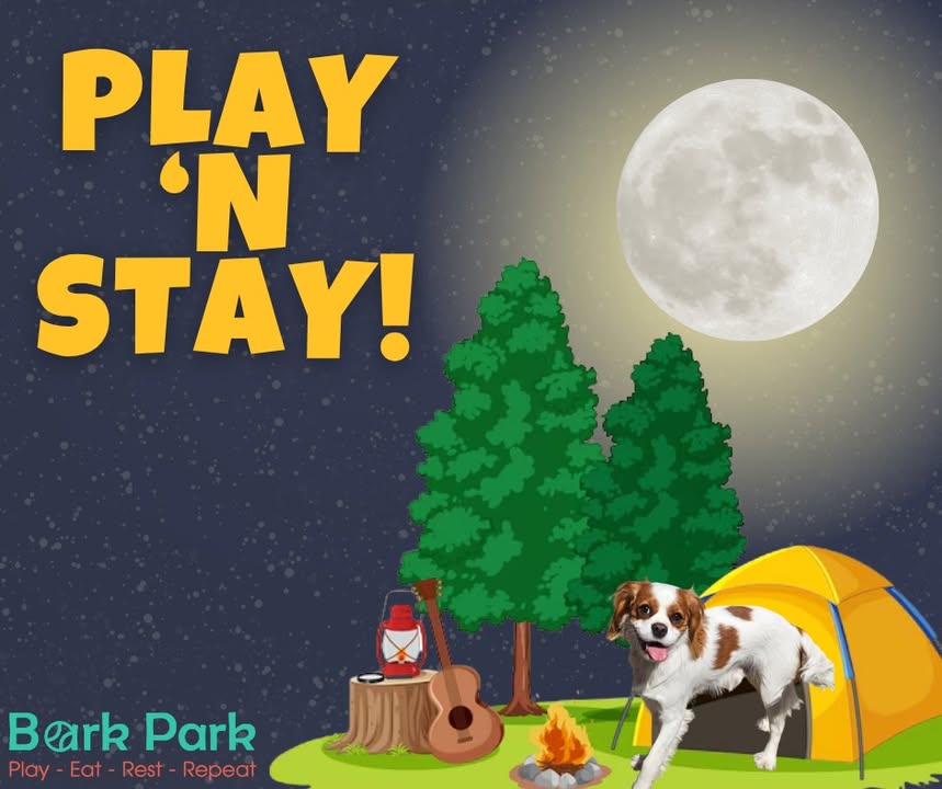 Bark Park - Red Deer Riverside