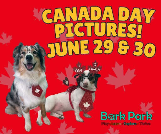Bark Park - Red Deer Riverside