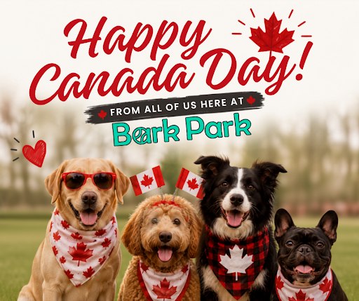 Bark Park - Red Deer Riverside