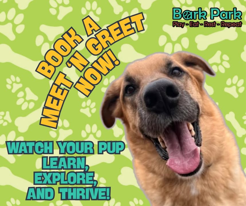 Bark Park - Sylvan Lake