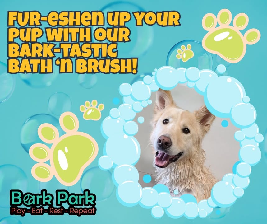 Bark Park - Sylvan Lake