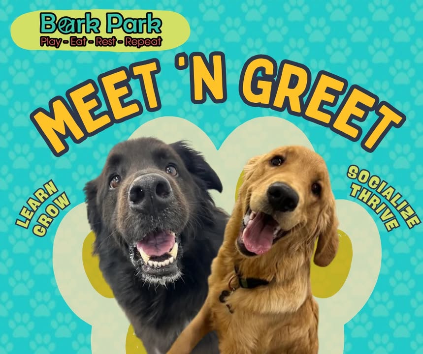 Bark Park - Sylvan Lake