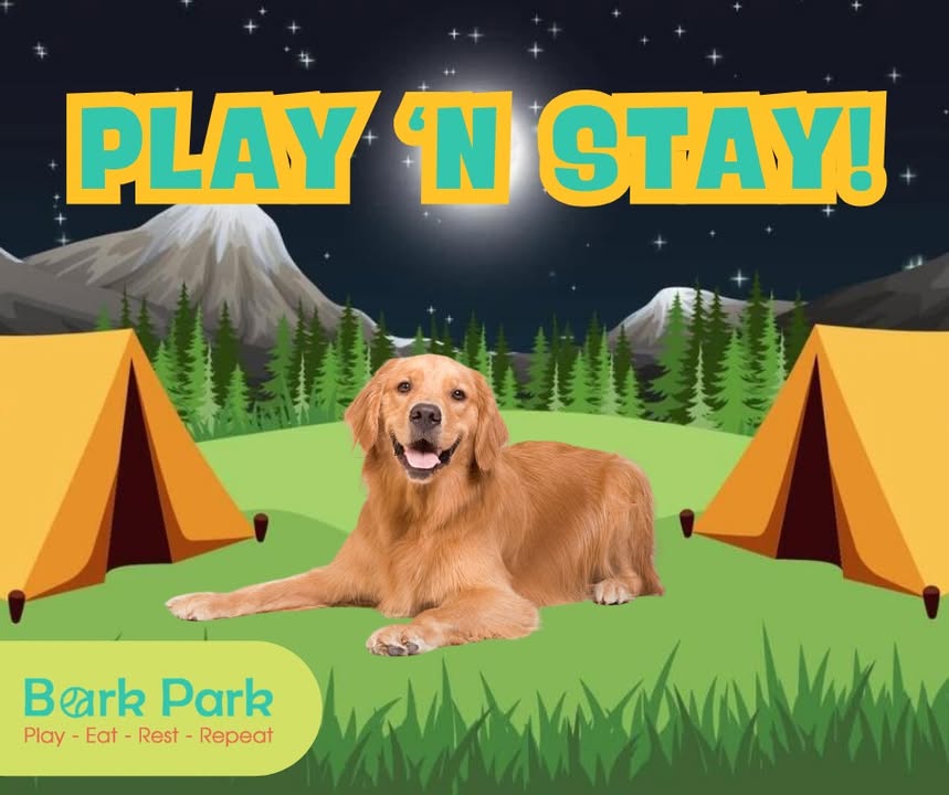 Bark Park - Sylvan Lake