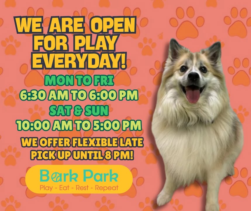 Bark Park - Sylvan Lake