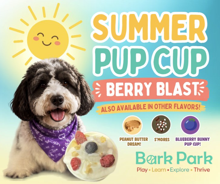 Bark Park - Sylvan Lake