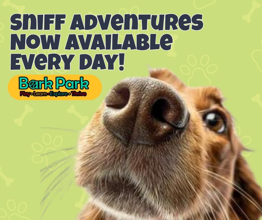 Bark Park - Sylvan Lake