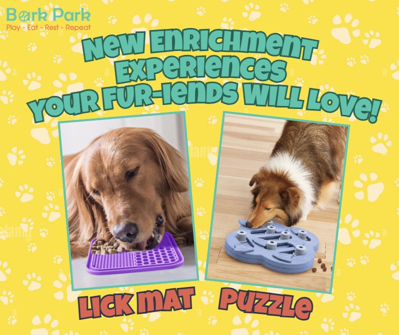 Bark Park - Sylvan Lake
