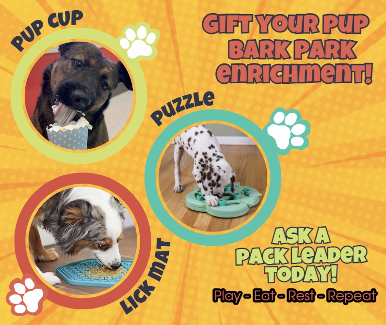 Bark Park - Sylvan Lake
